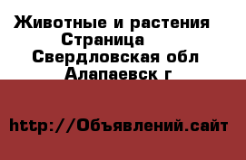  Животные и растения - Страница 11 . Свердловская обл.,Алапаевск г.